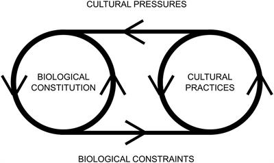 Affordances and Landscapes: Overcoming the Nature–Culture Dichotomy through Niche Construction Theory